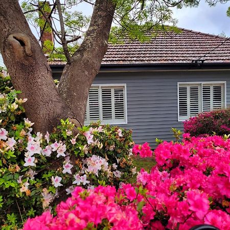 La Villette Sleeps 9 Fireplace Bbq Pet Friendly Katoomba Dış mekan fotoğraf