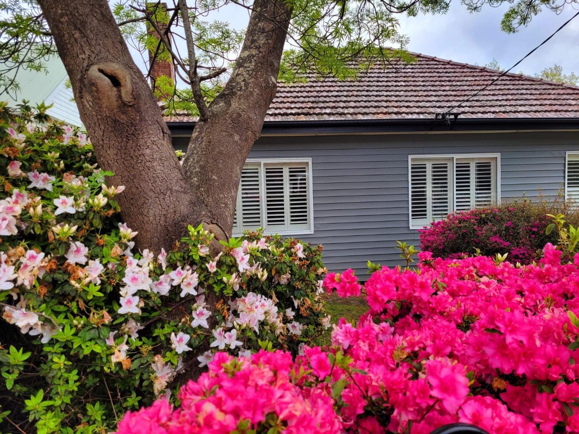 La Villette Sleeps 9 Fireplace Bbq Pet Friendly Katoomba Dış mekan fotoğraf